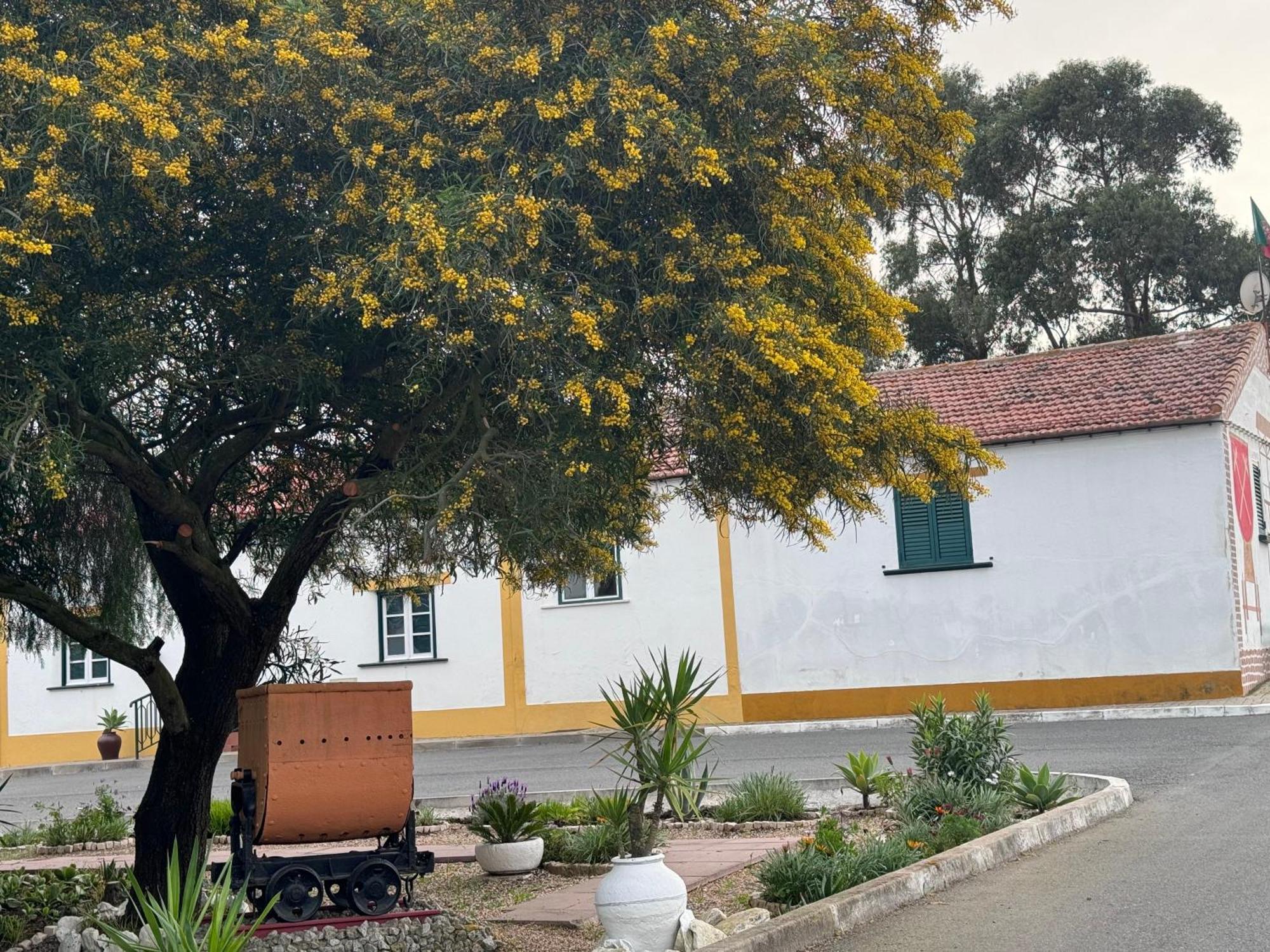 Casa Do Ti'xico *